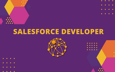 Salesforce Developer