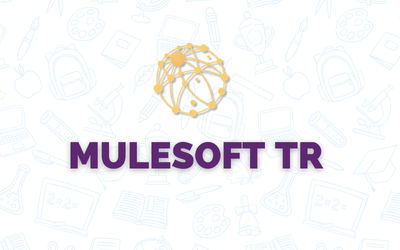 MULESOFT  267 TR